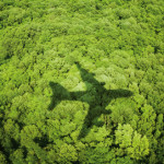 Brighter idea wanted for ‘A Greener Tomorrow’ with Emirates