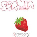 Digital Strawberries from Serbia in IMEX