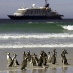Falkland Islands Wildlife Cruise book by 30th June