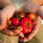 Feast from the earth at MCEC’s Melbourne Food & Wine Festival event