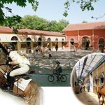 Horse riding in Paris