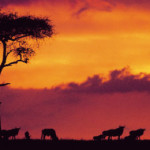 Kenya to host Africa’s “Oscars of the Travel Industry”