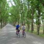 Just a Drop : London – Brighton Cycle Ride
