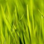 Dusit International GREEN MEETINGS Initiative