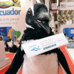 IMEX triumph bodes well for strong year ahead