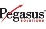 The Pegasus View January 2010: Leisure Travelers Regain Confidence,  Boosting Booking Volumes Beyond 2009, 2008 and 2007 Levels 