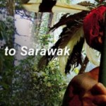 Sarawak Wins Bid to Host A Major Medical Conference in 2012