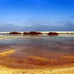 Anantara Announces Management of Luxury Lodges on Sir Bani Yas Island, Abu Dhabi